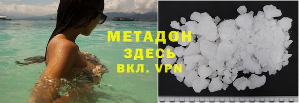 прущие грибы Абинск