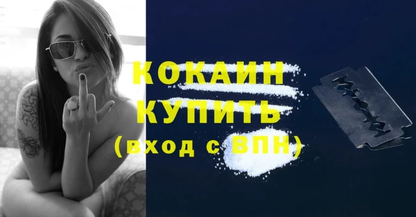 стафф Ладушкин