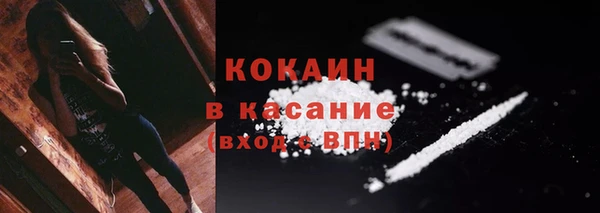 прущие грибы Абинск