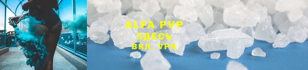 прущие грибы Семёнов