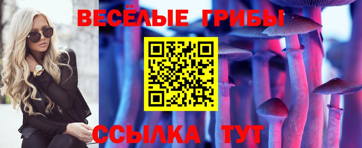 Ишимбай  Псилоцибиновые грибы Psilocybe  Вход с VPN 